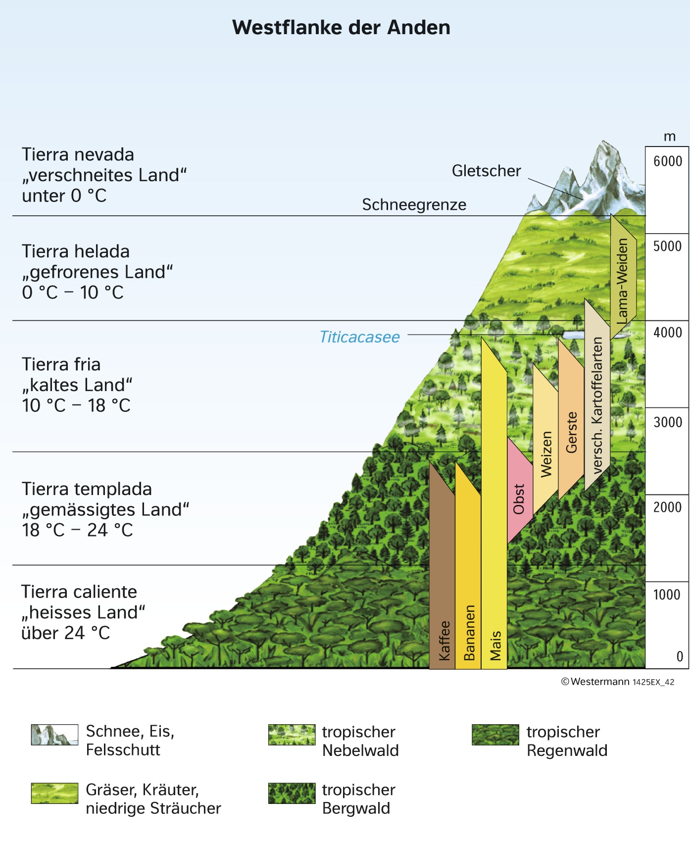 Höhenstufen der Vegetation in Peru