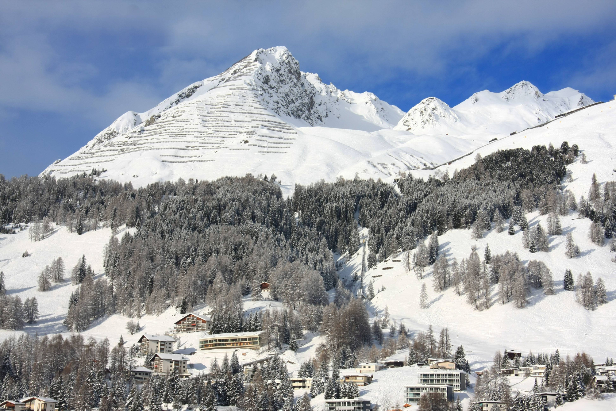 Bannwald