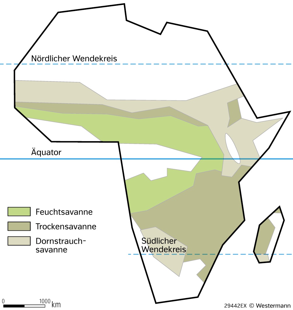 Kartografische Skizze zur Verbreitung der Savannen in Afrika