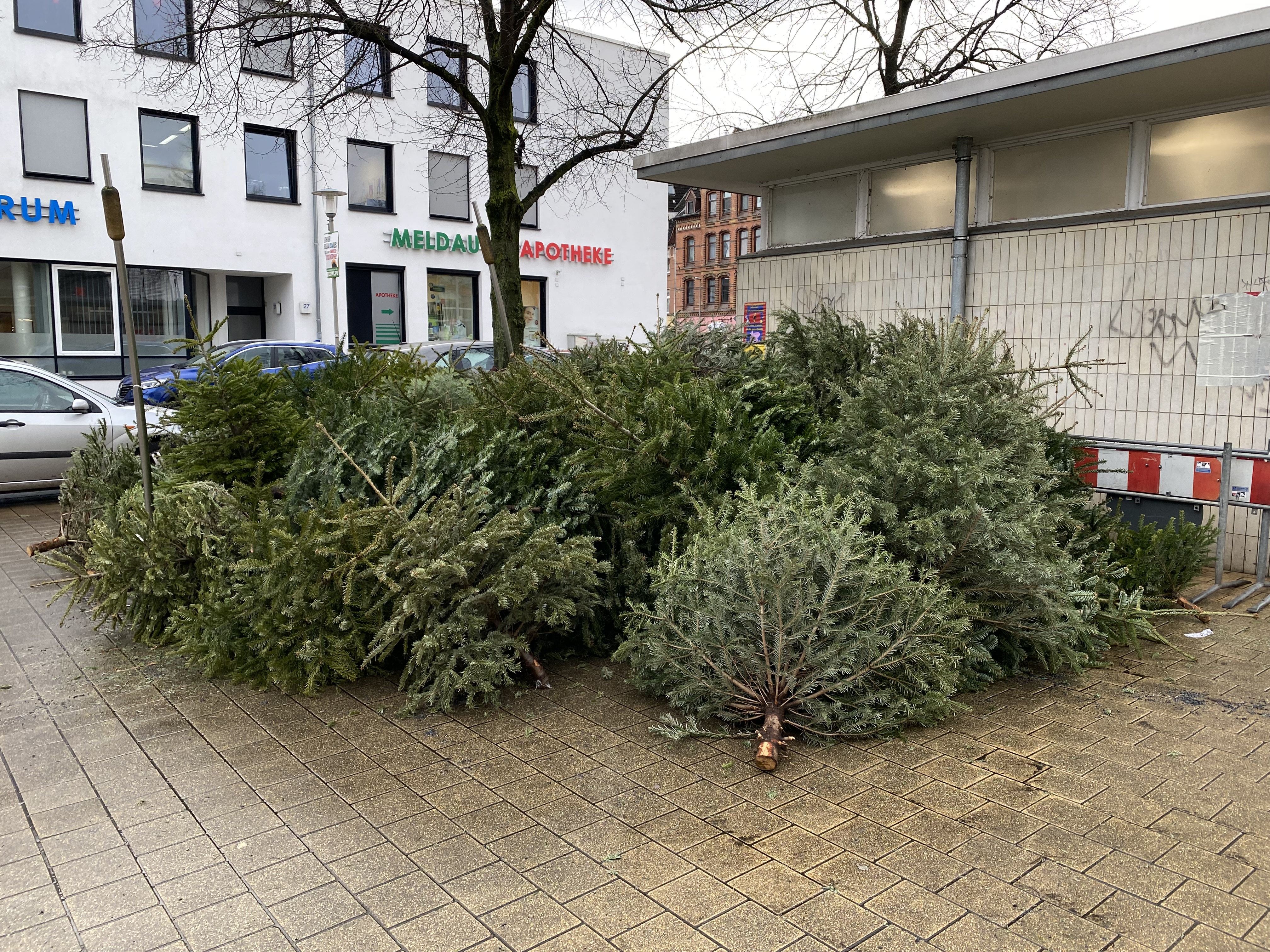 Weihnachtsbäume nach Weihnachten am Straßenrand (© Marvin Schlamelcher)