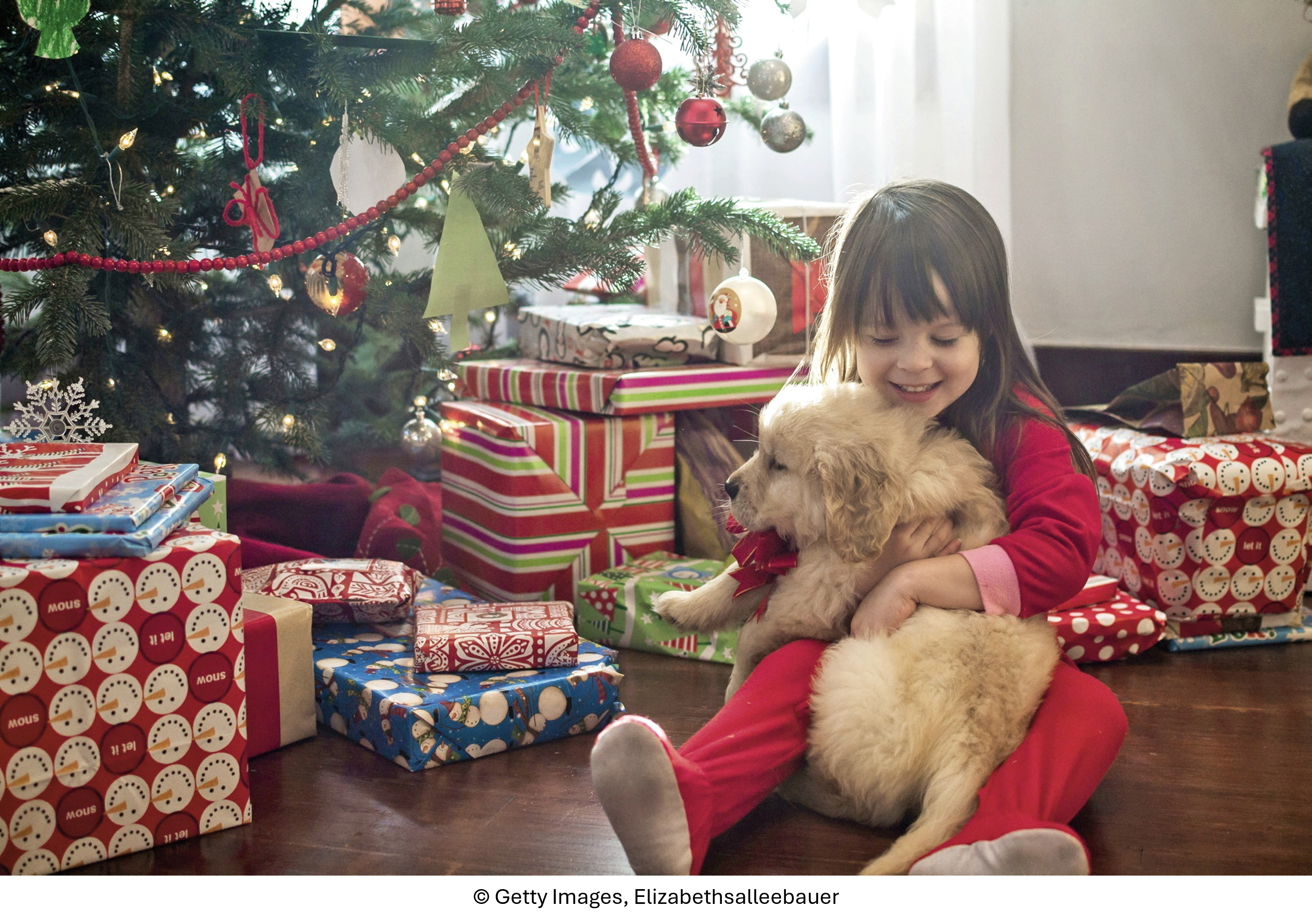 Nachhaltige Weihnachten