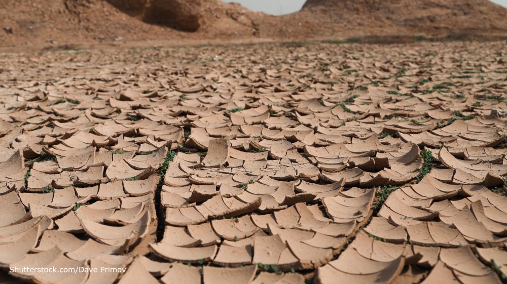 Diercke 360° 2/2025 - Folgen Klimawandel Grafik