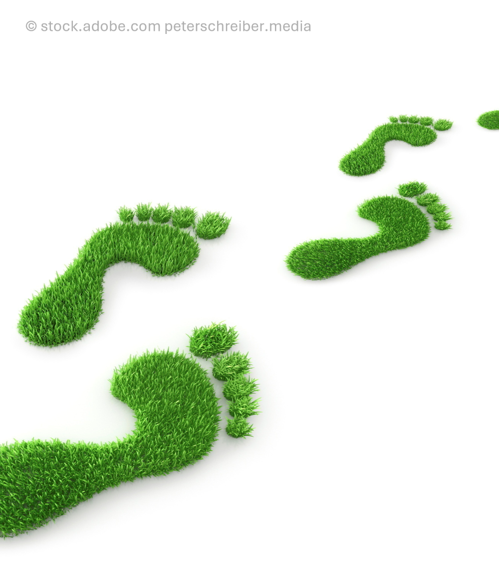 Dein CO₂-Fußabdruck