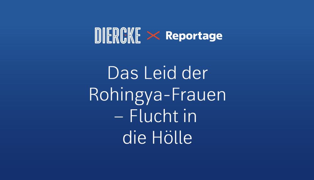 Diercke x auslandsjournal Teaser