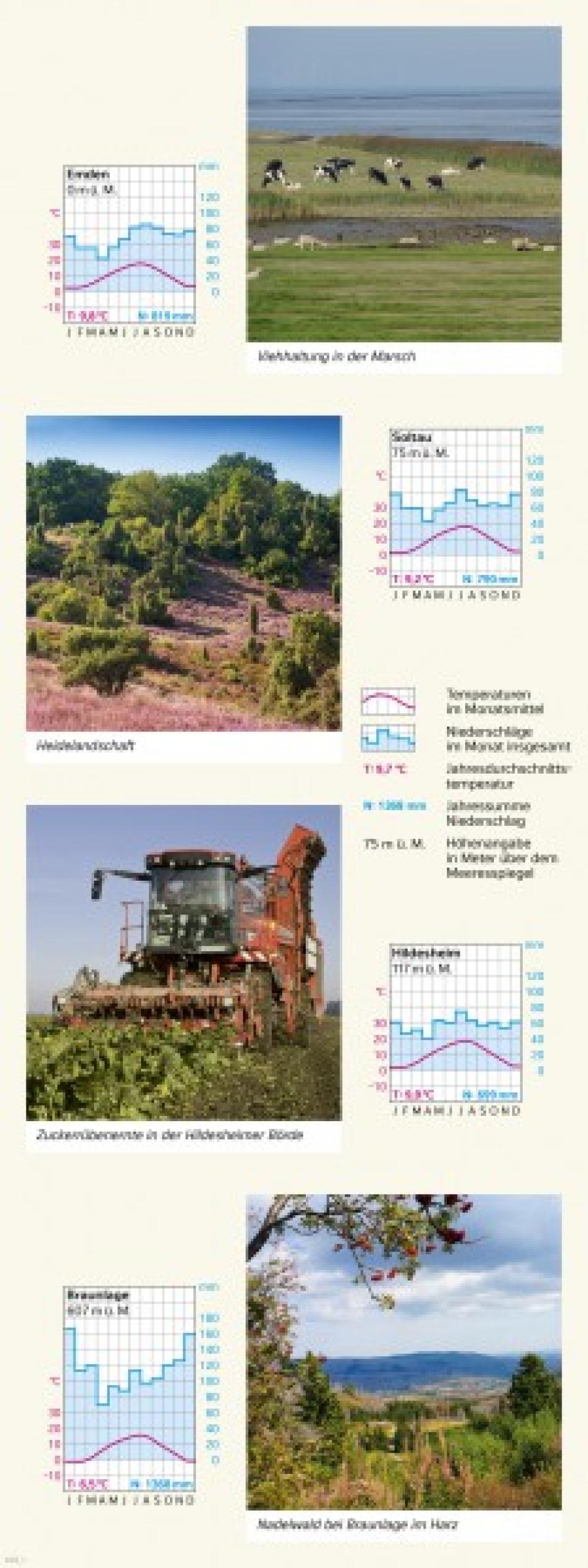 Bild der Karte Niedersachsen - Klimadiagramme - Niedersachsen - Klima und Landwirtschaft