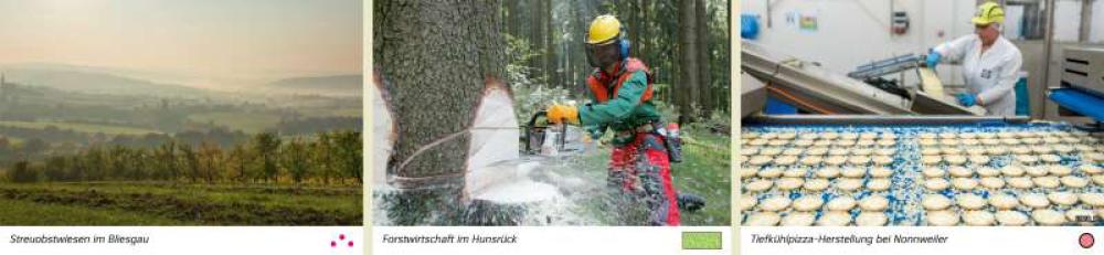 Bild der Karte Streuobstwiesen im Bliesgau/Forstwirtschaft im Hunsrück/Tiefkühlpizza-Herstellung bei Nonnweiler - Saarland - Saarland - Landwirtschaft