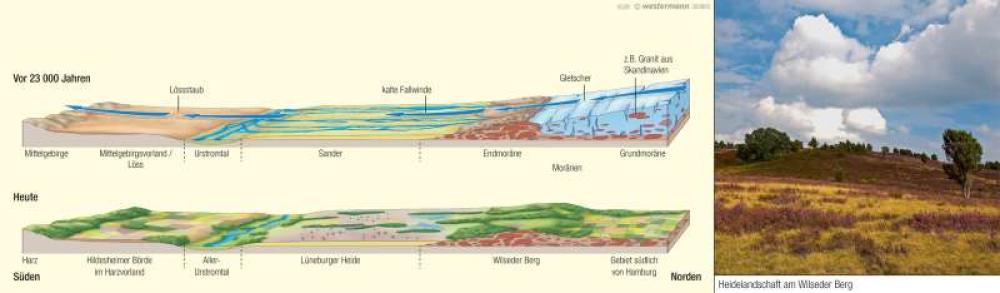 Bild der Karte Norddeutsches Tiefland - Eiszeitliche Prägung - Deutschland - Naturraum