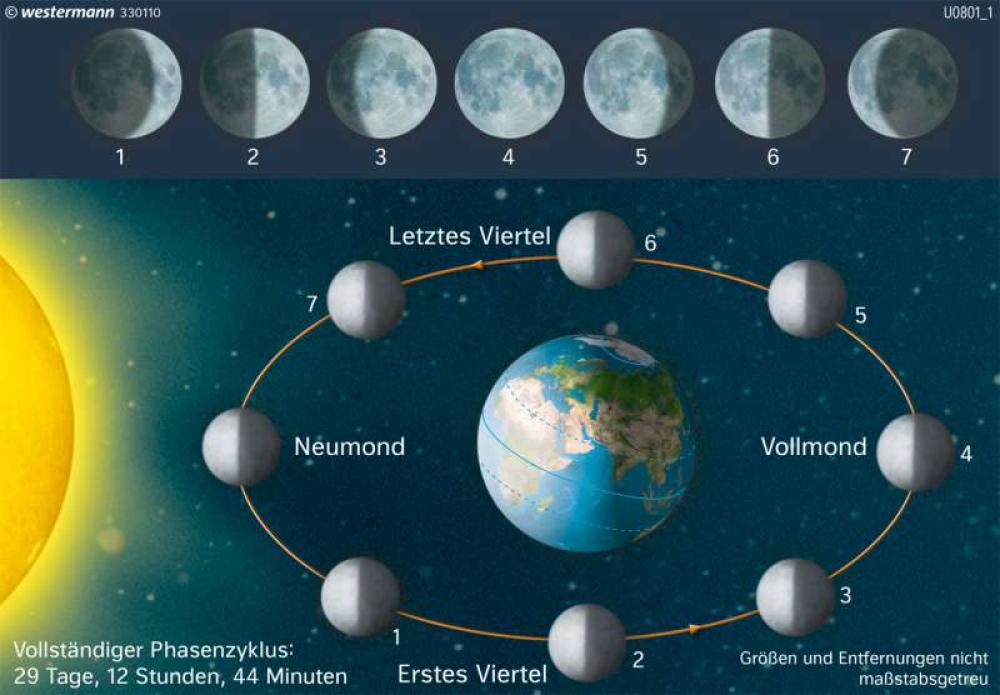 Wie Dreht Sich Der Mond Um Die Erde Die Mondphasen-978-3-14-100870-8-6-5-1 | Diercke.de