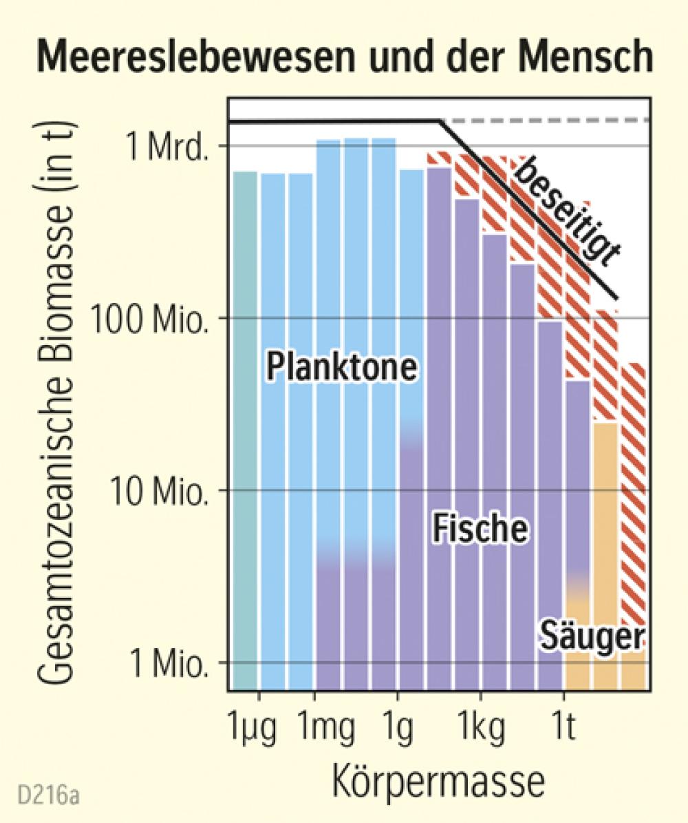 Meereslebewesen und der Mensch