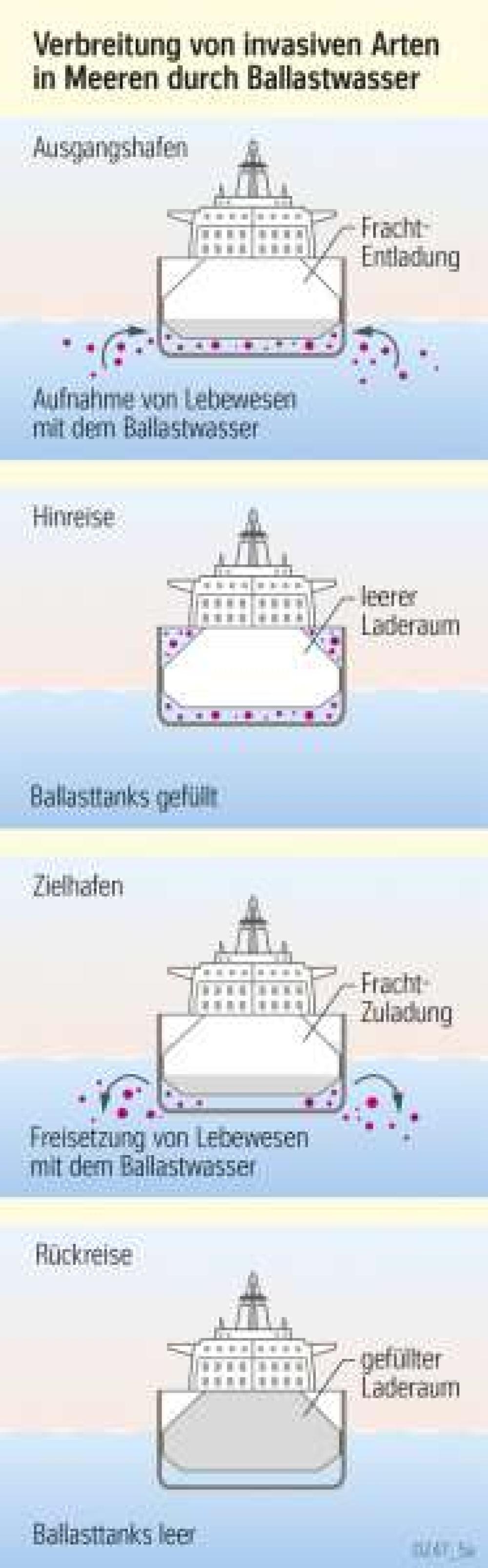 Verbreitung von invasiven Arten in Meeren durch Ballastwasser