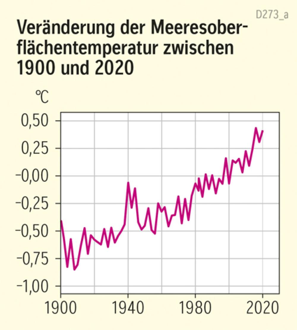 Veränderung der Meeresoberflächentemperatur zwischen 1900 und 2020