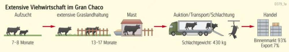 Extensive Viehwirtschaft im Gran Chaco