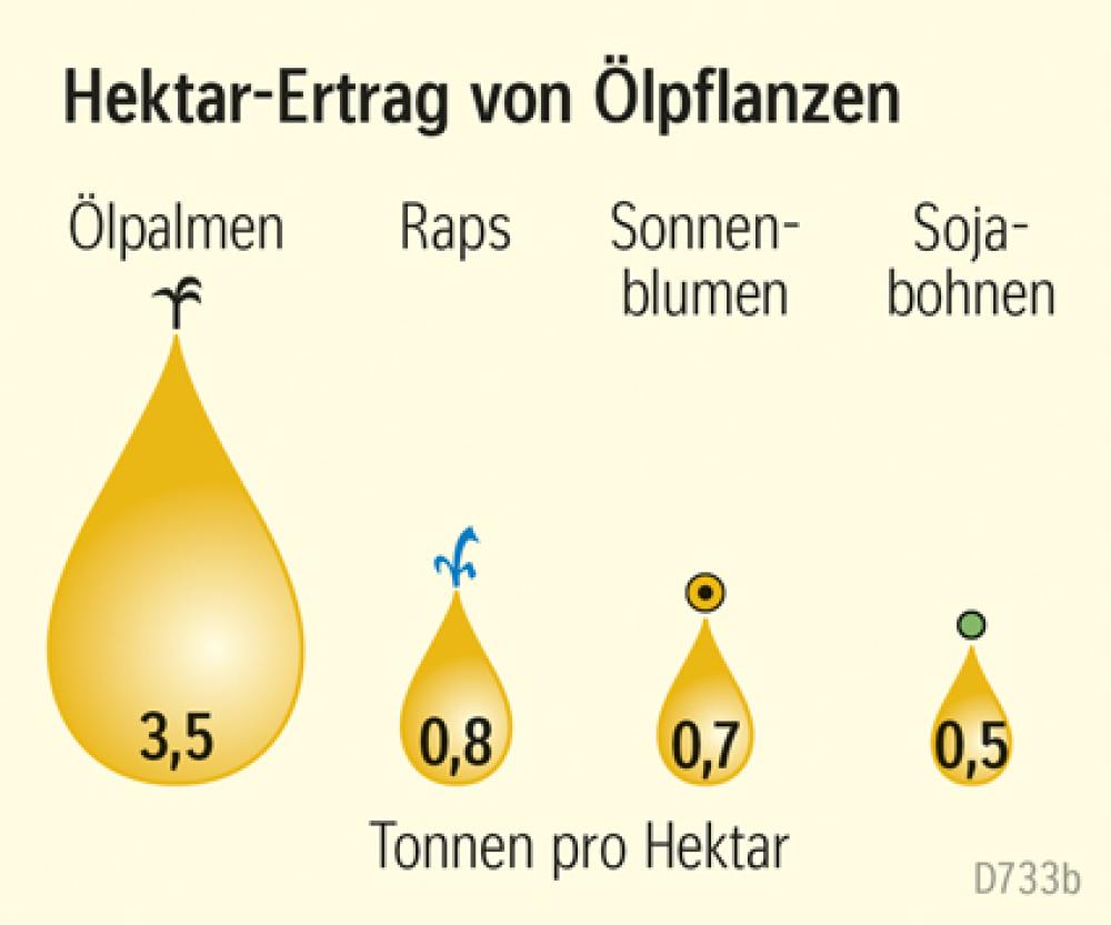 Hektar-Ertrag von Ölpflanzen