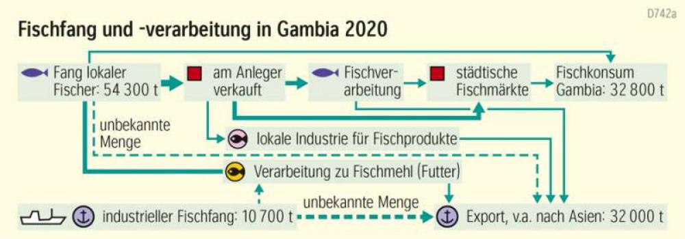 Fischfang und -verarbeitung in Gambia 2020