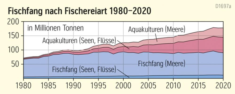 Fischfang nach Fischereiart 1980-2020