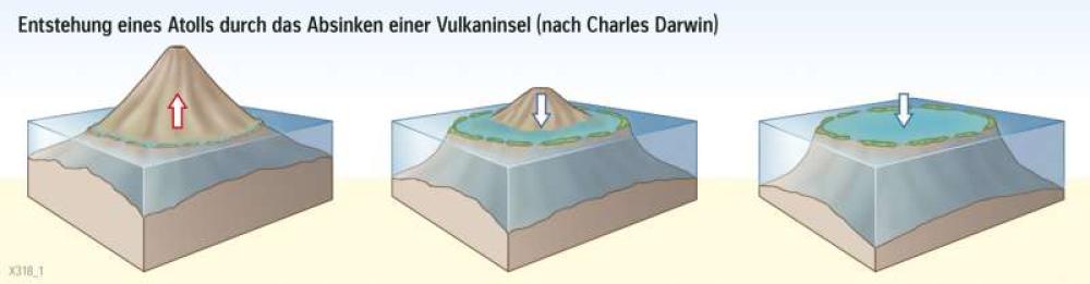 Entstehung eines Atolls durch das Absinken einer Vulkaninsel (nach Charles Darwin)