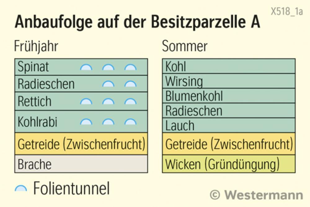 Neunhof - Anbaufolge auf der Besitzparzelle A
