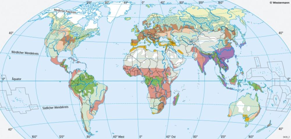 Bild der Karte Erde - Agrarregionen - Erde - Reale Vegetation und Landnutzung
