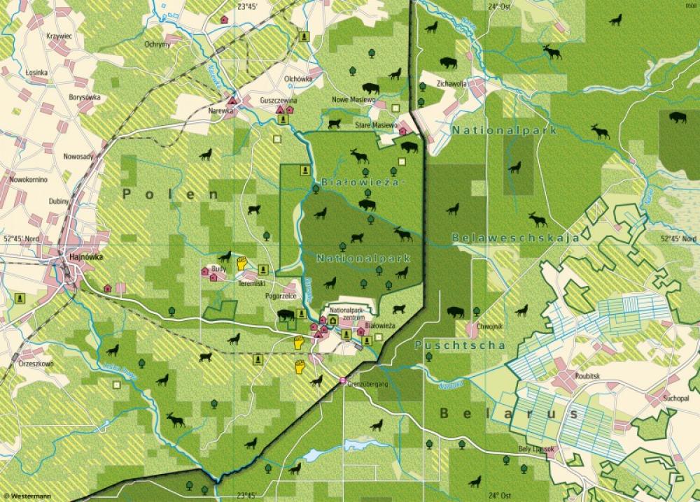Bild der Karte Białowieża (Polen) - Waldlandschaft - Mitteleuropa - Urbane und ländliche Räume