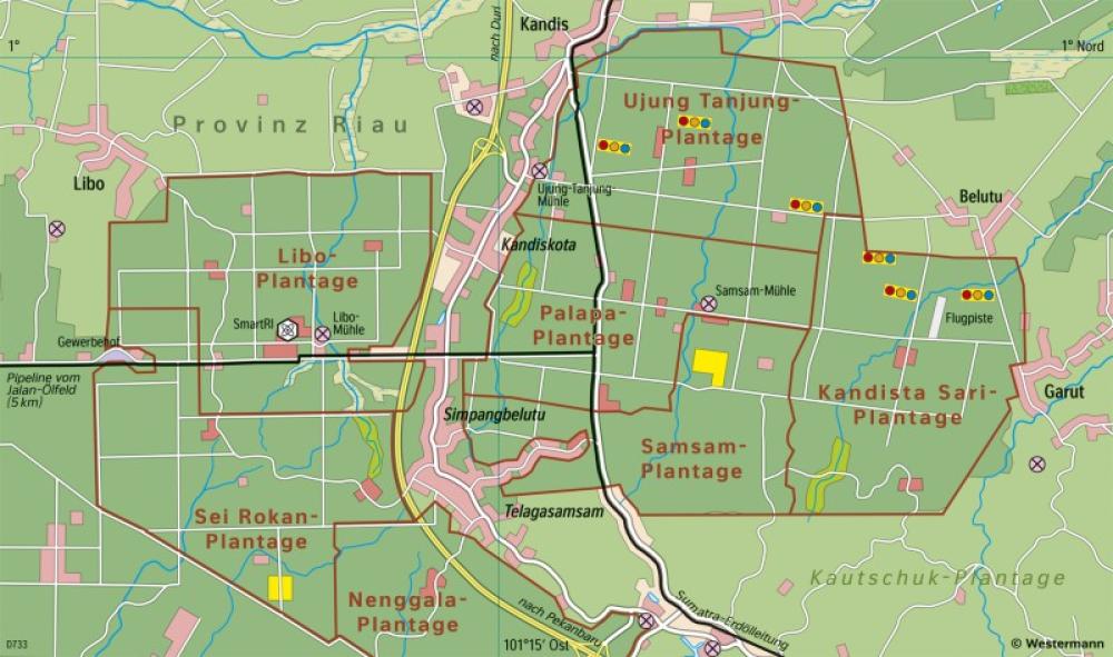 Bild der Karte Riau (Sumatra) - Ölpalmenplantagen - Erde - Reale Vegetation und Landnutzung
