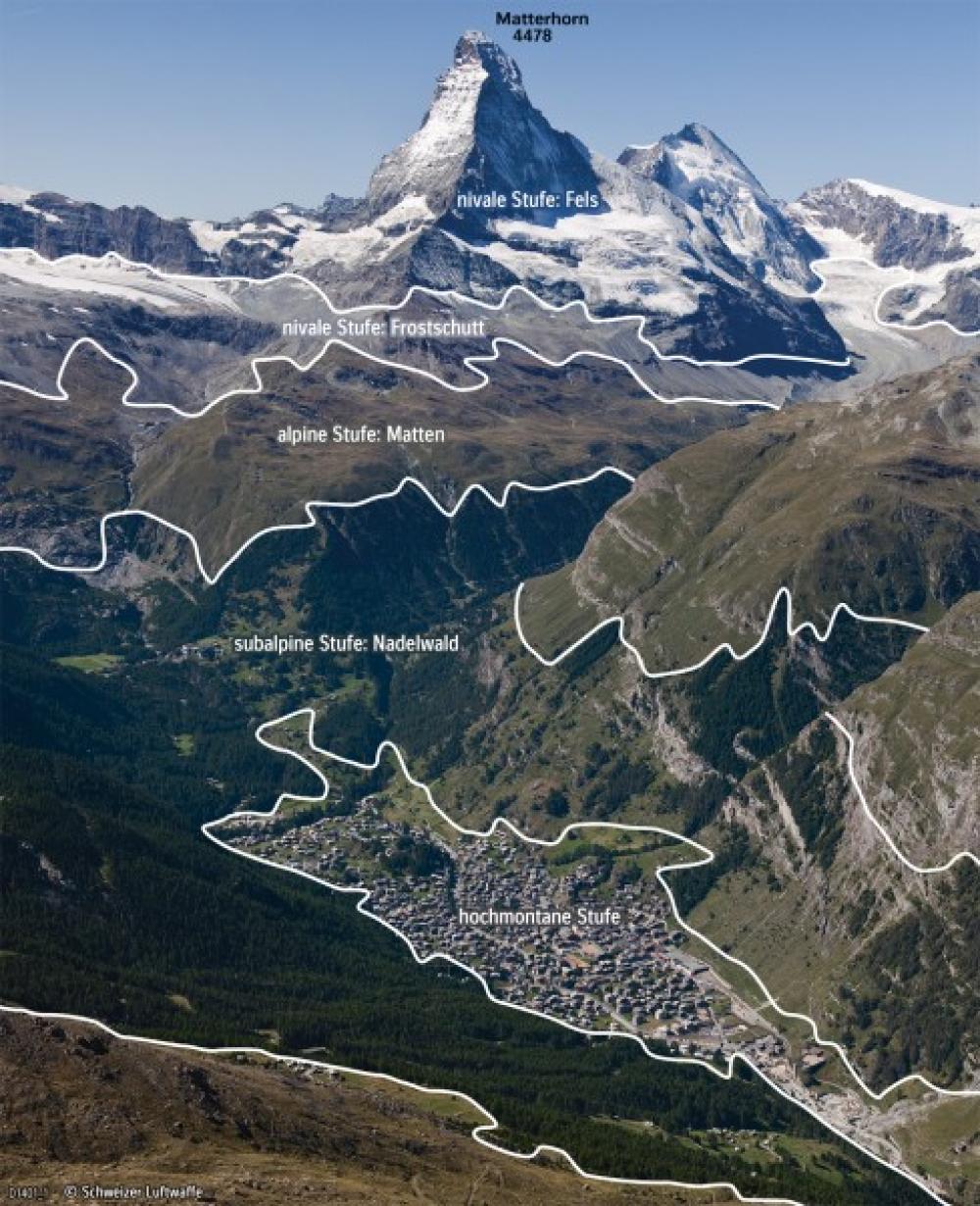 Bild der Karte Zermatt - Höhenstufen im Bild - Schweiz - Naturschutz und Naturgefahren