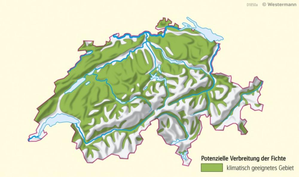 Bild der Karte Schweiz - Klimatische Standorteignung der Fichte - 1981-2020 - Schweiz - Klimawandel