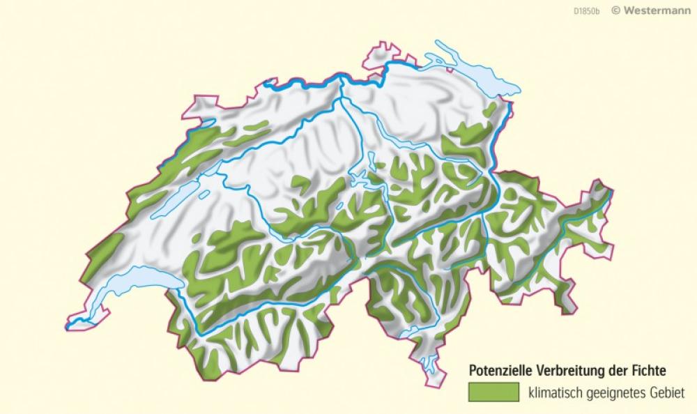 Bild der Karte Schweiz - Klimatische Standorteignung der Fichte - Prognose 2051-2080 - Schweiz - Klimawandel