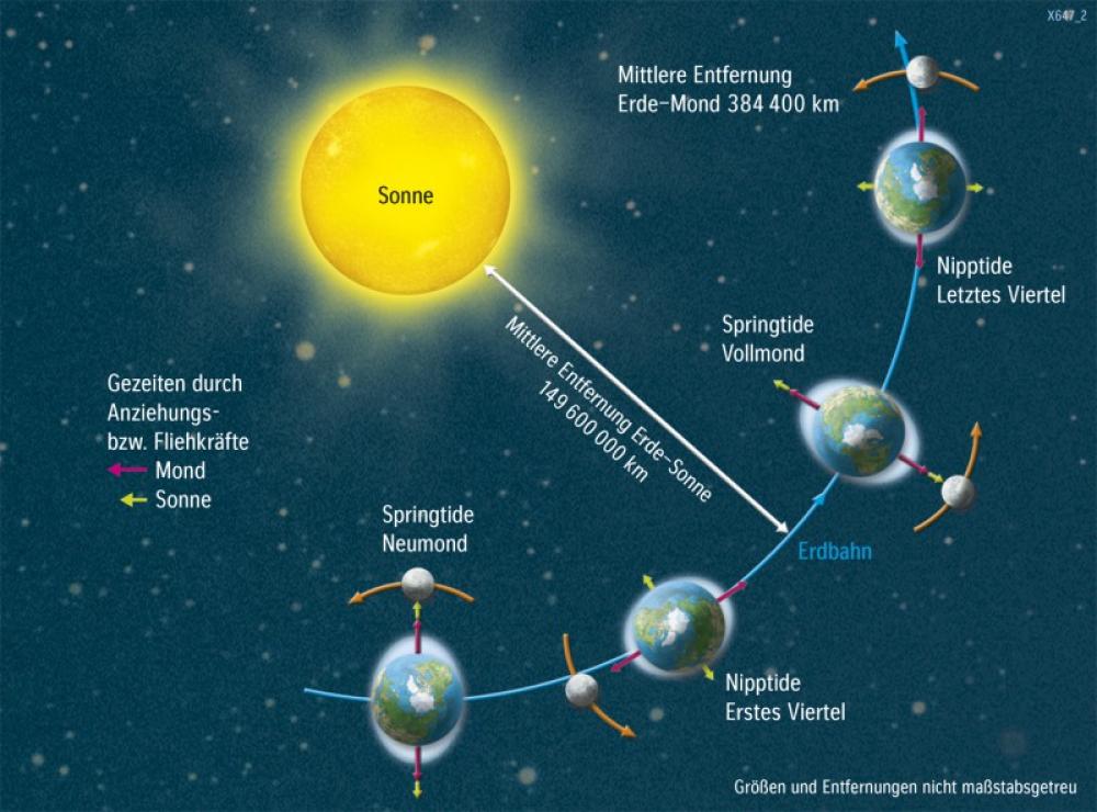 Bild der Karte Entstehung der Gezeiten - Die Erde im Weltall