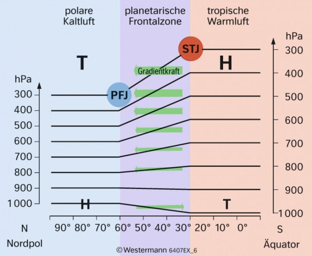 Die Bildung der Frontalzone