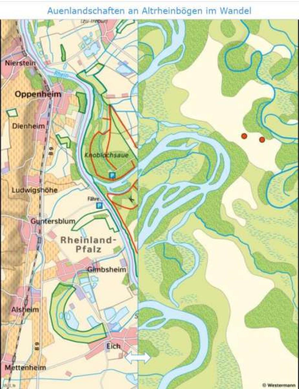 Oberrhein und Kühkopf im Wandel