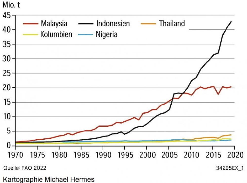 Die fünf größten Palmölproduzenten (1970-2019)