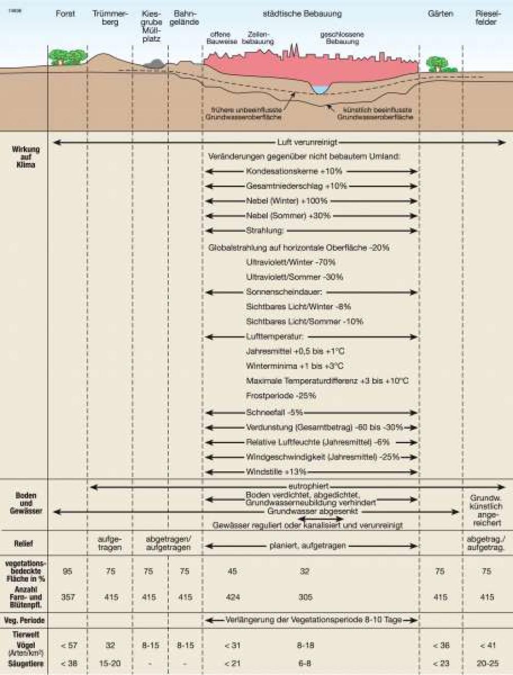 Die Veränderung der Ökosphäre einer Großstadt