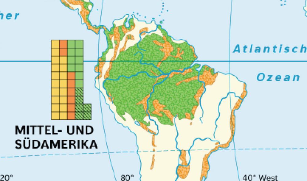 Regenwald-Abholzung weltweit