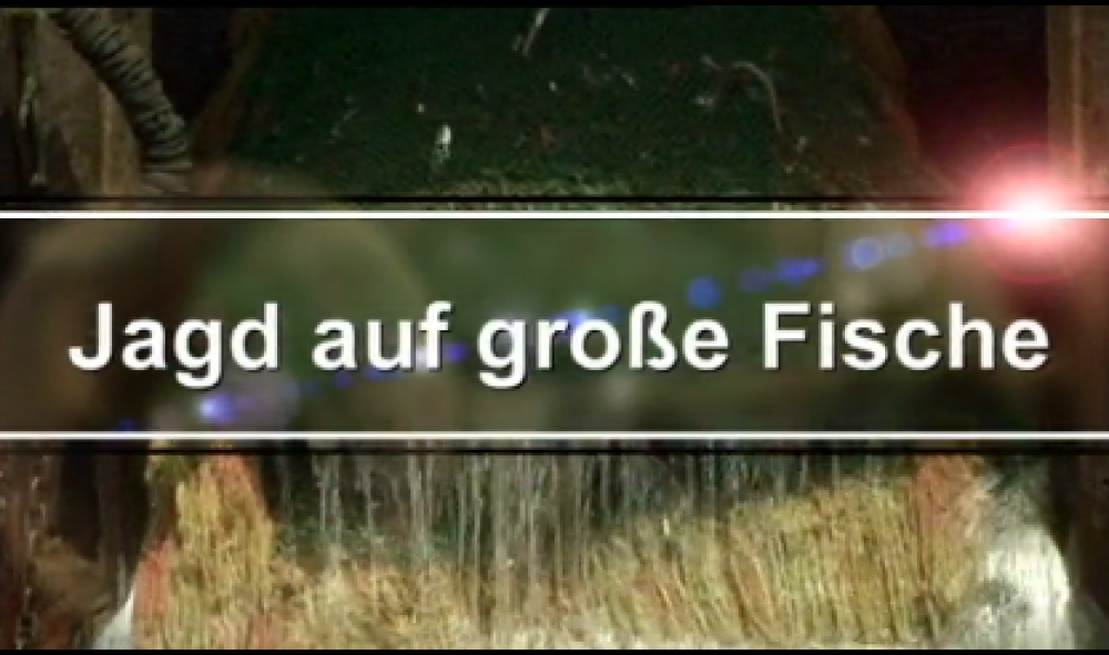 Fangmethoden der Meeresfischerei