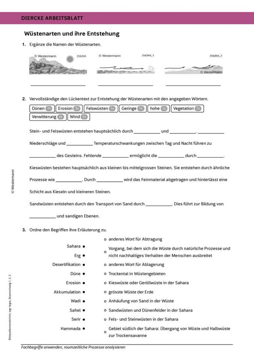 Wüstenarten und ihre Entstehung
