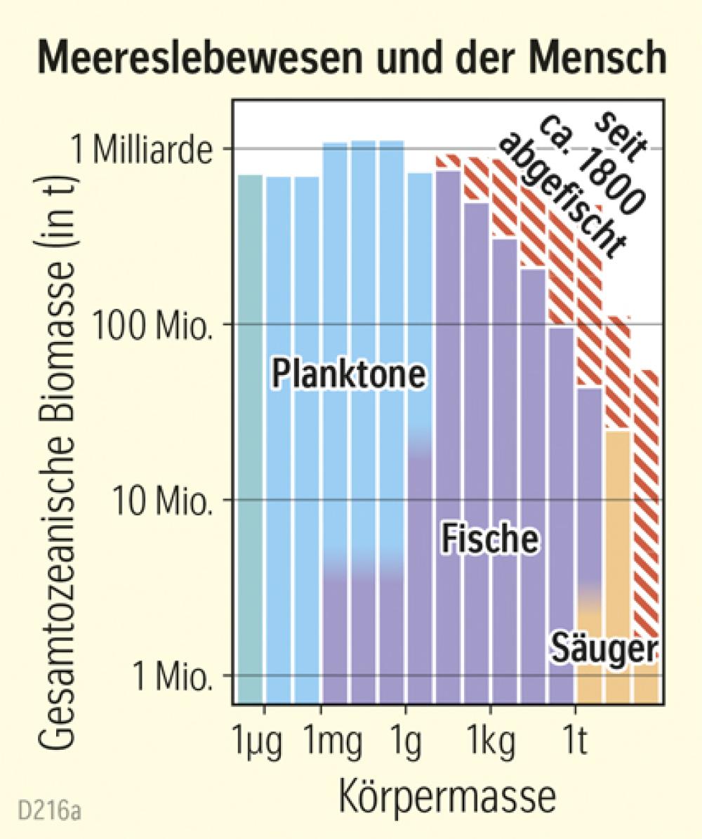 Meereslebewesen und der Mensch
