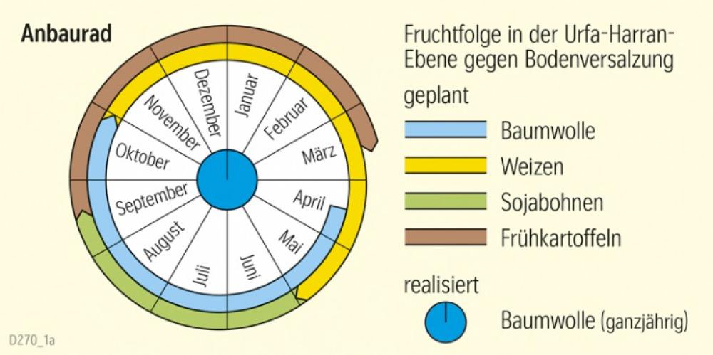 Anbaurad