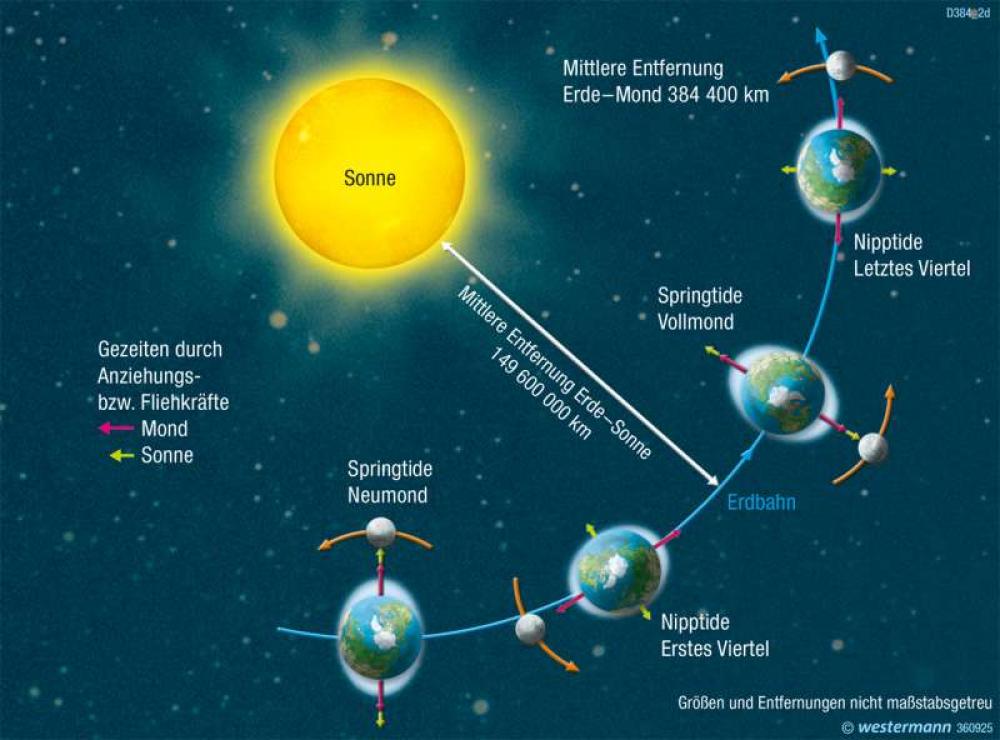 Entstehung der Gezeiten