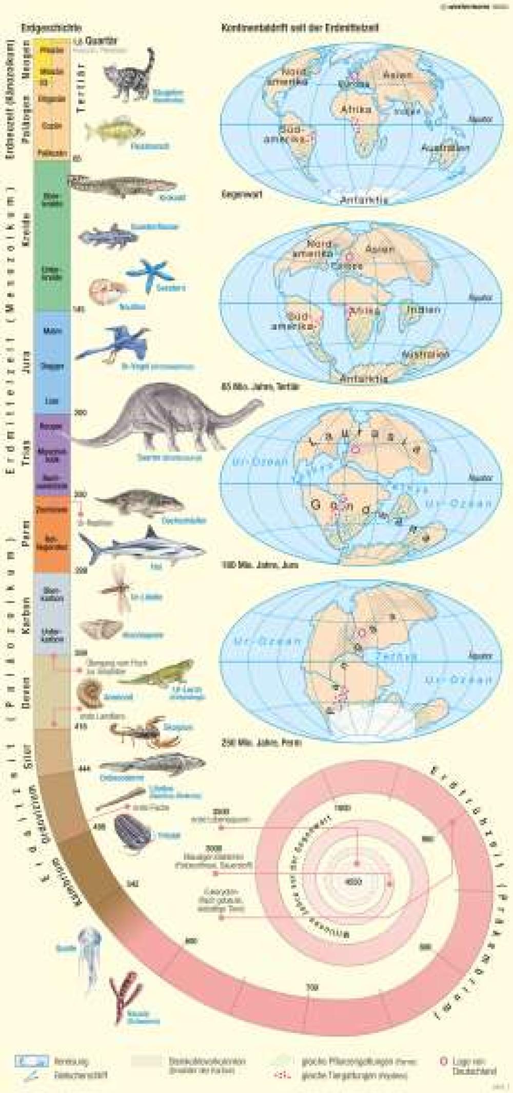 Erdgeschichte und Kontinentaldrift