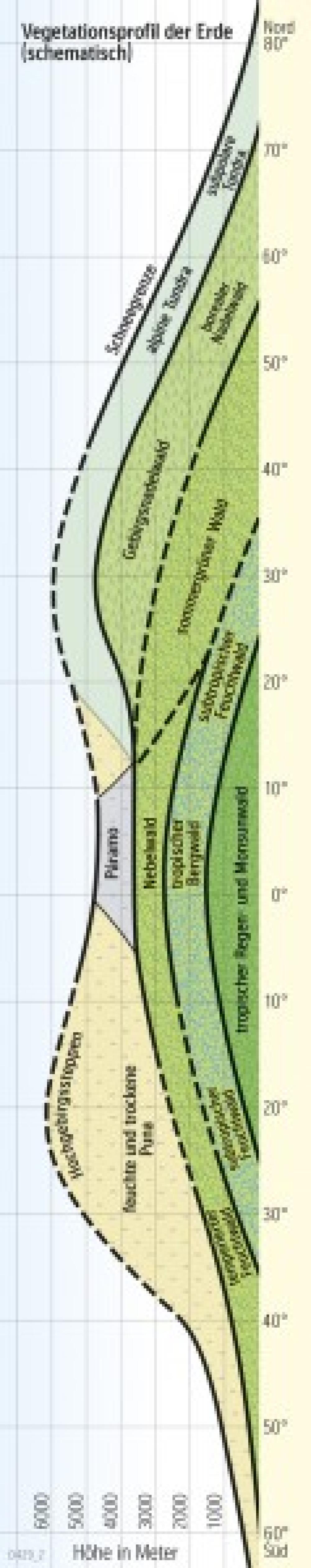 Vegetationsprofil der Erde (schematisch)
