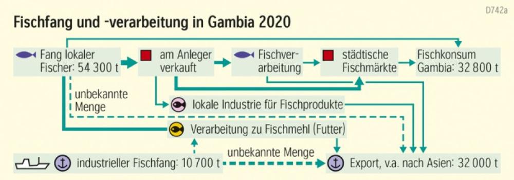 Fischfang und -verarbeitung in Gambia 2020