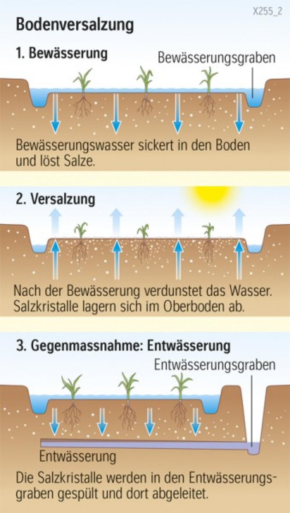 Bodenversalzung