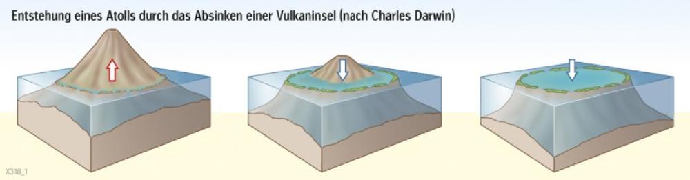 Entstehung eines Atolls durch das Absinken einer Vulkaninsel (nach Charles Darwin)