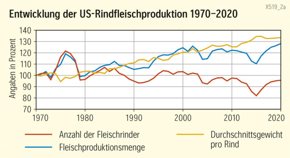 Entwicklung der US-Rindfleischproduktion 1970-2020